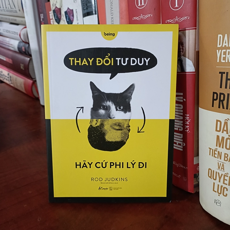 Thay đổi tư duy hãy cứ phi lý đi - Rod Judkins 493095