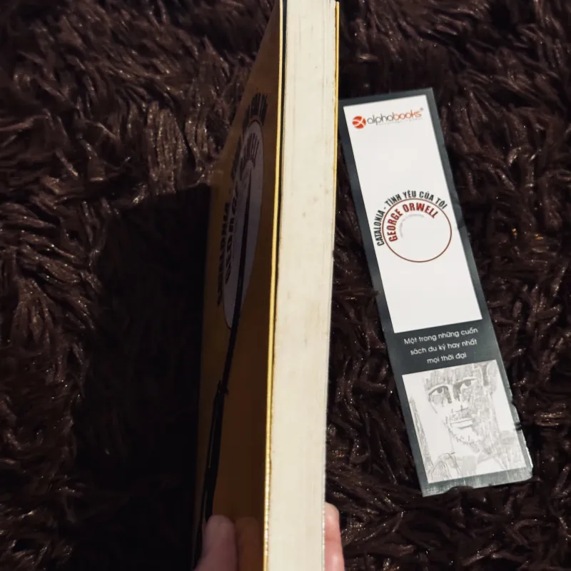 Catalonia tình yêu của tôi 758058