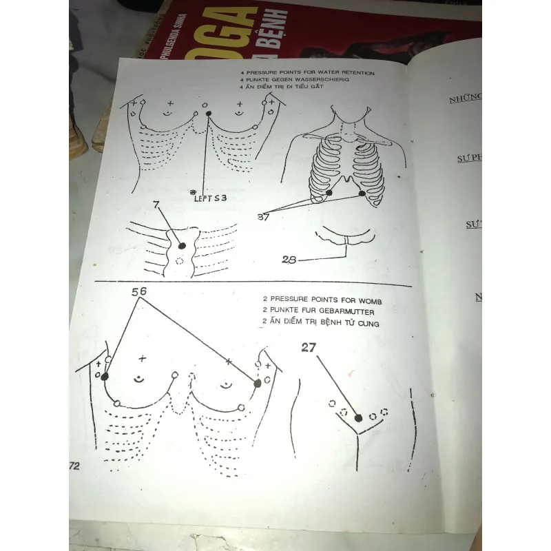 Bấm huyệt (Cách chữa & sự ích lợi) - FM. Houston, DC 1001145