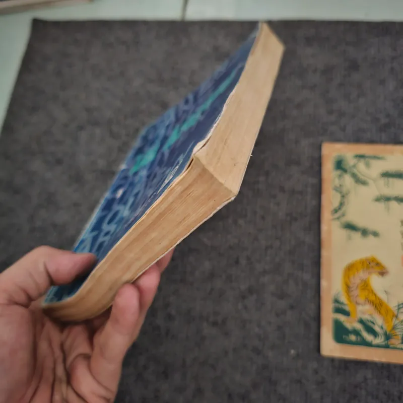 Louis Aragon - Phùng Văn Tửu 745282