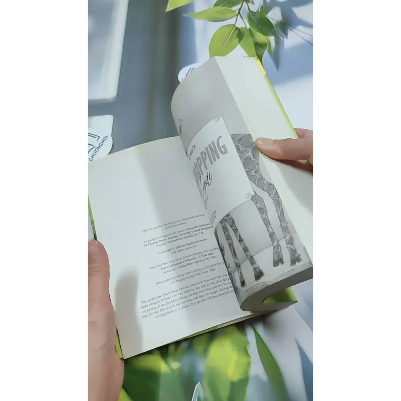 Tín Đồ Shopping Và Chị Gái - Sophie Kinsella 744775