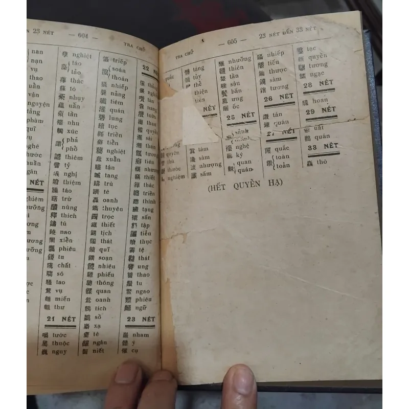 Hán Việt từ điển của Đào Duy Anh  999720