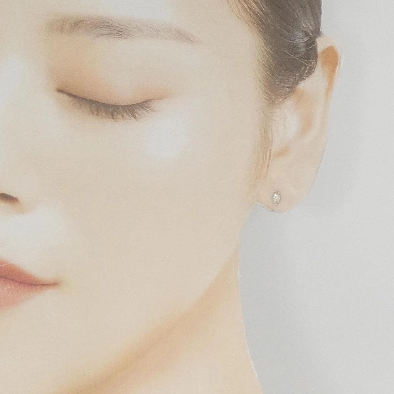 PT900 Bông tai kim cương 0.22CT - Hàng hiệu Chính hãng 869599