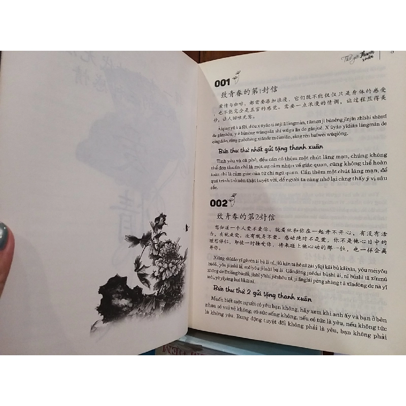 Thư gửi thanh xuân - Nhật Phạm 695648