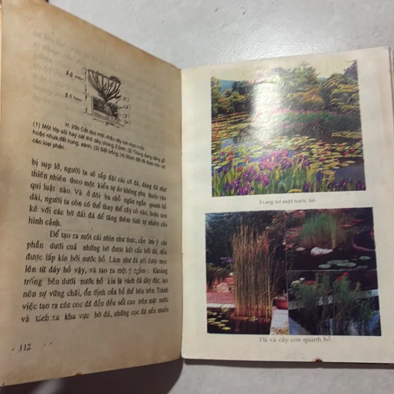 Trang trí vườn cảnh - Đỗ Xuân Hải 799844