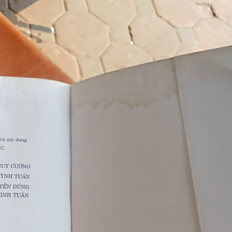 Những chuyên luận về Kinh tế - Nguyễn Anh Dũng 1002493