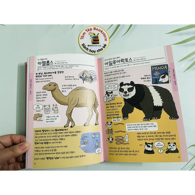 완전 이상한 멸종 동물도감 bách khoa động vật tuyệt chủng 720398