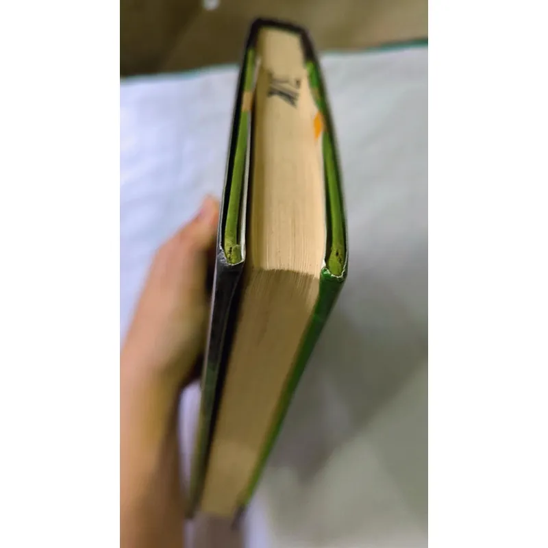 The Monsters of Morley Manor 732837