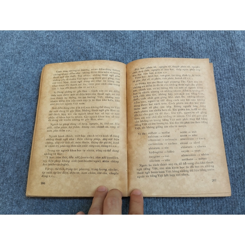 TỪ VÀ VỐN TỪ TIẾNG VIỆT HIỆN ĐẠI 539833