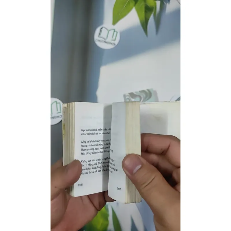 Combo Thơ Hàn Mặc Tử, Bùi Chí Vinh 798494