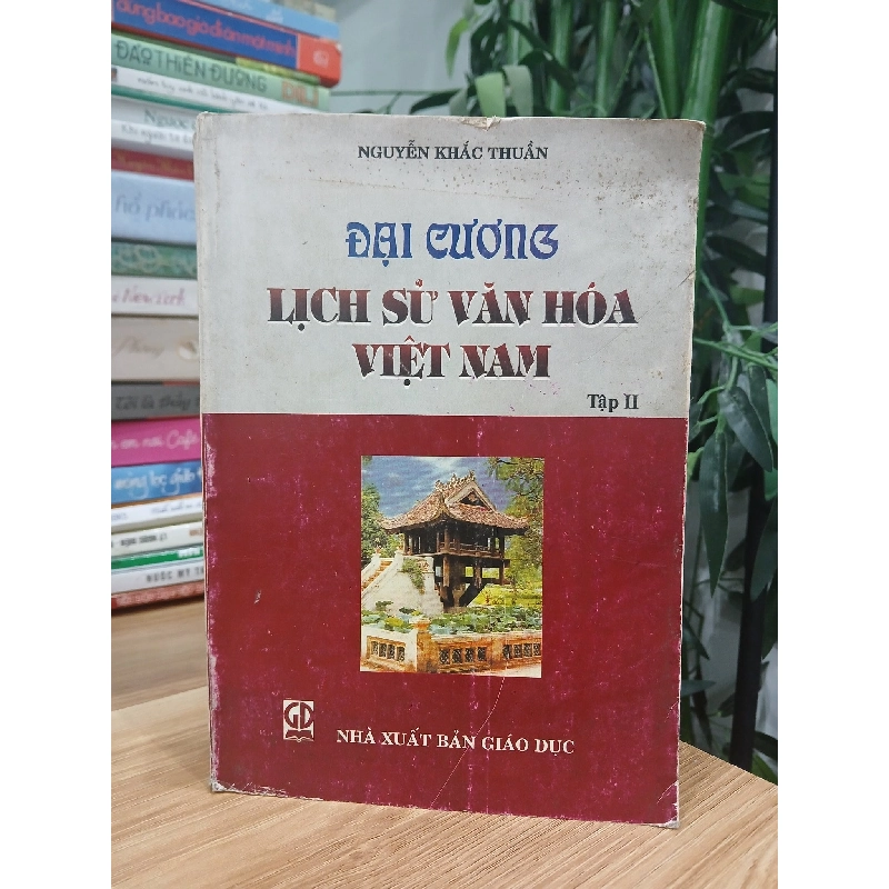 Đại Cương Lịch Sử Văn Hóa Việt Nam Tập II - Nguyễn Khắc Thuần 749309