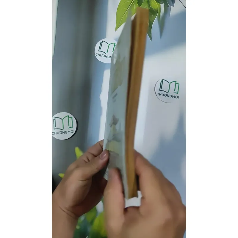 Truyện Kiều - Việt Chương chú giải - Nguyễn Du 798520