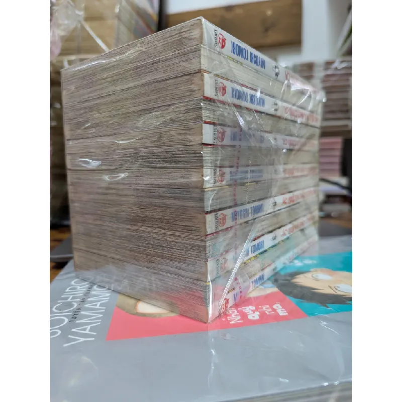 TRUYỆN TRANH Ác Quỷ và Bản Tình Ca - Miyoshi Tomori 139357