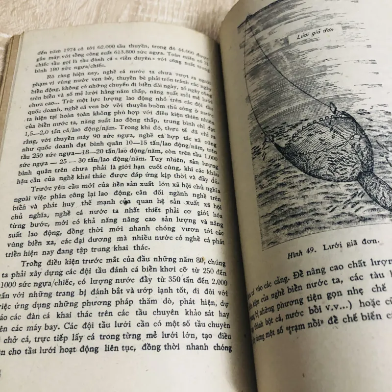 NGUỒN SINH VẬT BIỂN ĐÔNG 956906