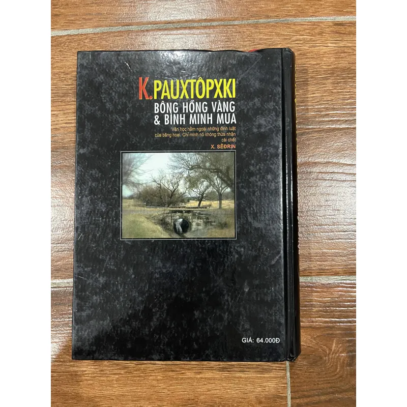 Bông hồng vàng & Bình minh mưa - Pauxtôpxki (10) 1002635