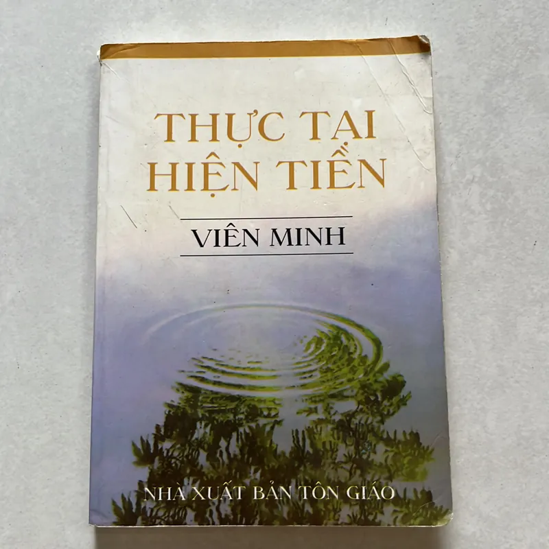 Thực tại hiện tiền - Viên Minh 625579