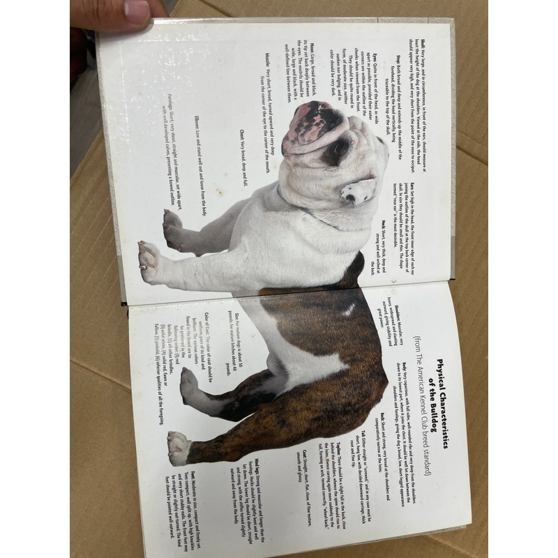 Bulldog - A Kennel Club Book 313504