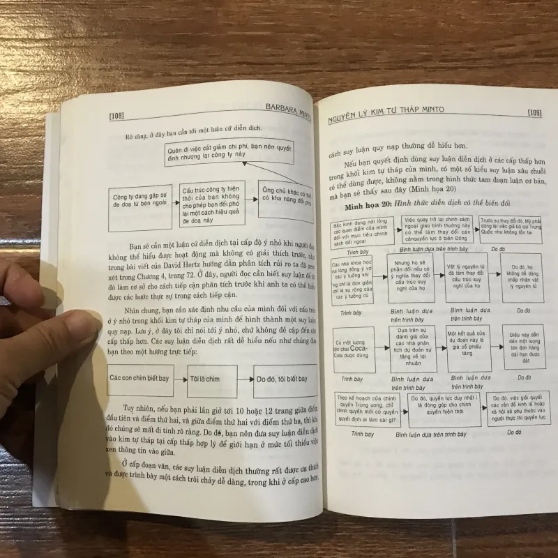 Nguyên lý Kim tự tháp Minto (8) 315804