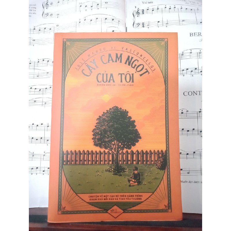 Cây cam ngọt của tôi 4466