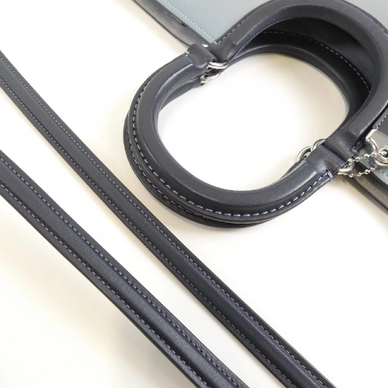 Túi Coach CH592 619071