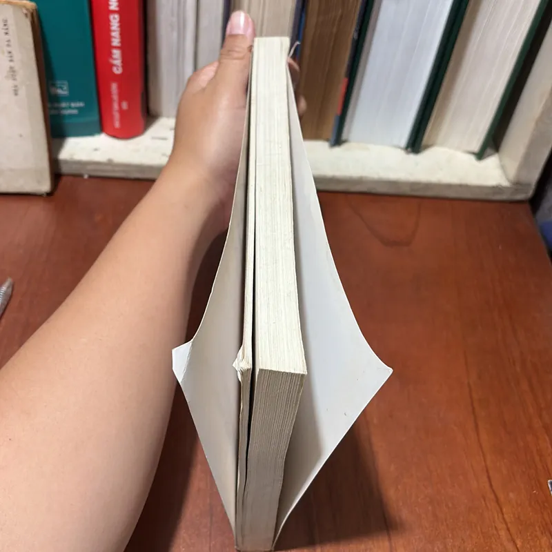 II Ngôn Ngữ Học Tri Nhận _ Từ Lý Thuyết Đại Cương Đến Thực Tiễn Tiếng Việt - Lý Toàn Thắng 722510