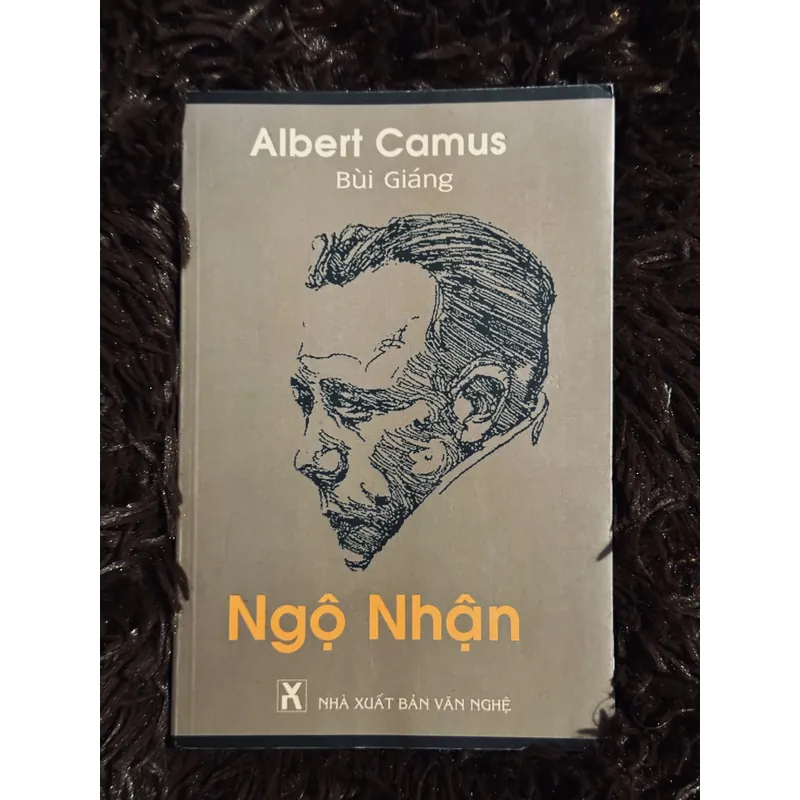 Ngộ nhận (Bùi Giáng dịch) 738122