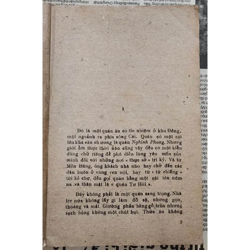 Tiểu thuyết lịch sử của táv giả Hoài Anh: RỒNG ĐÁ CHUYỂN MÌNH (324 trang) 726555