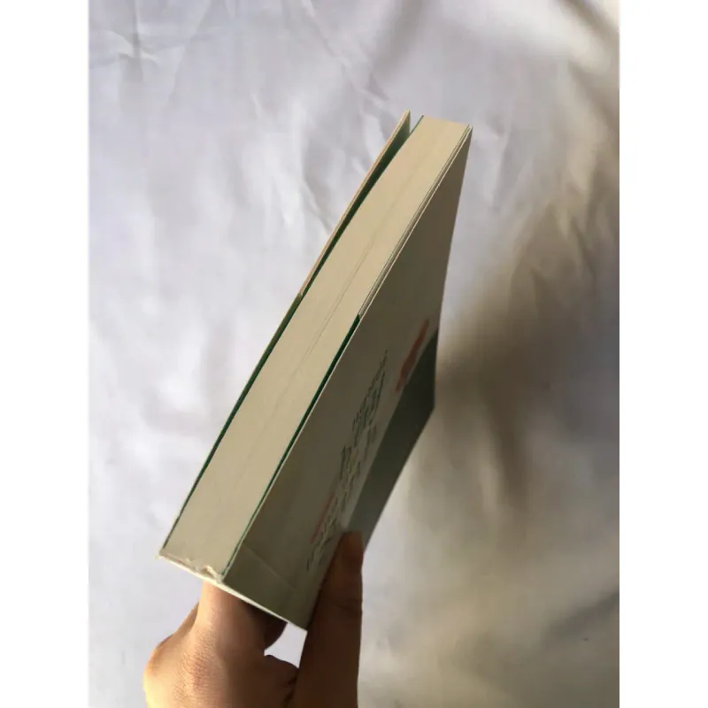 Người Bay Trong Gió Xanh - Phạm Duy Nghĩa 976135