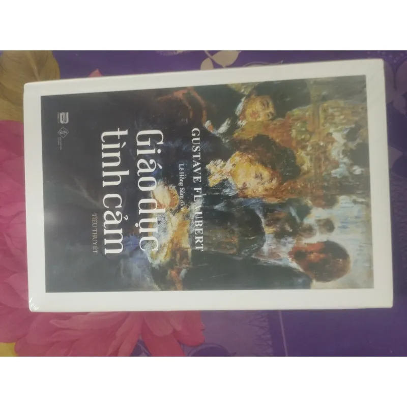 Giáo Dục Tình Cảm- Gustave Flaubert (bìa cứng) 931213