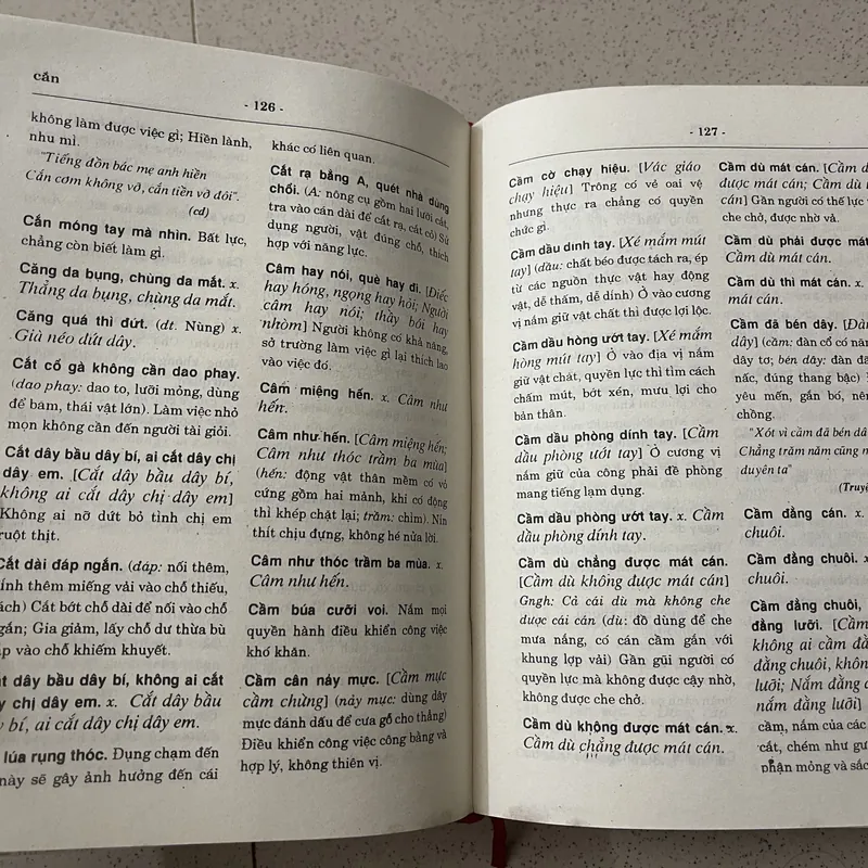 Từ Điển Thành Ngữ và Tục Ngữ Việt Nam 713414