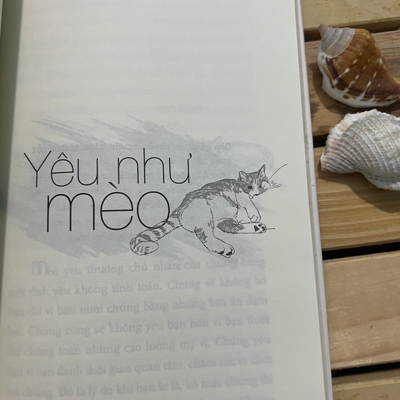 Sách Sống như một nàng mèo - mới 99% 526151
