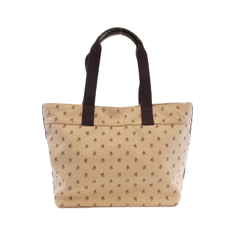 Túi Coach F55598 617832