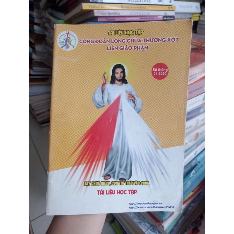 Lạy Chúa Giêsu, Con Tín Thác Vào Chúa 🌻 518995