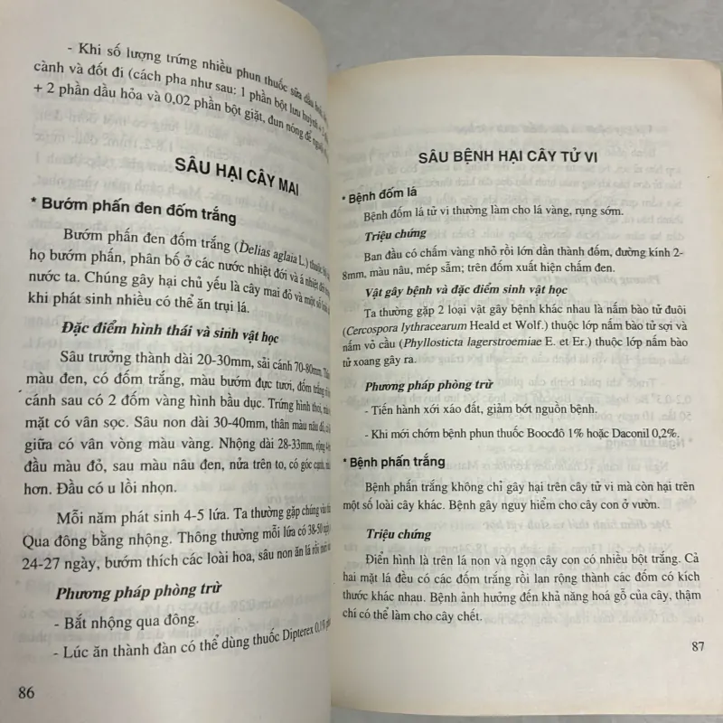 Phòng trừ sâu bệnh cây cảnh 790669