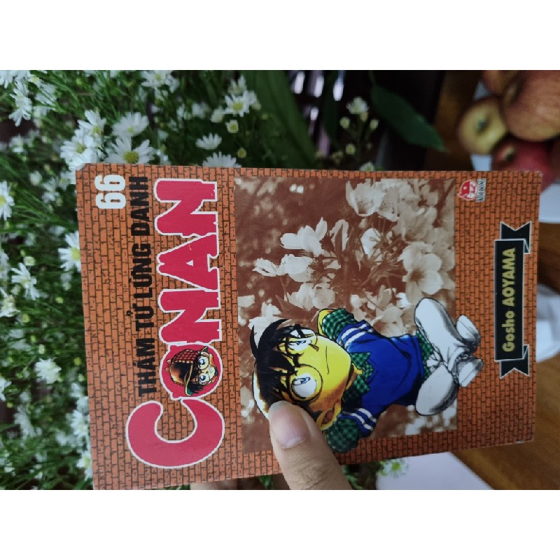 Combo Conan cũ Tập 64 + Tập 66 2