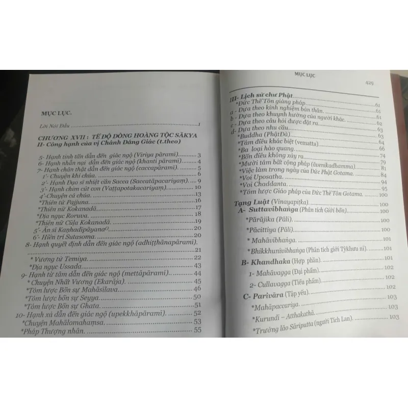 Đức Phật Và 45 Năm Hoàng Pháp Độ Sinh - Tập 10 756662