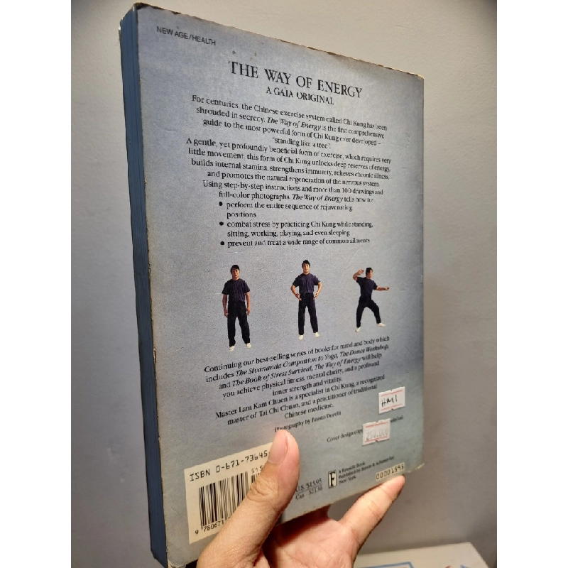 THE WAY OF ENERGY : Mastering the Chinese Art of Internal Strength with Chi Kung Exercise - Master Lam Kam Chuen 222607