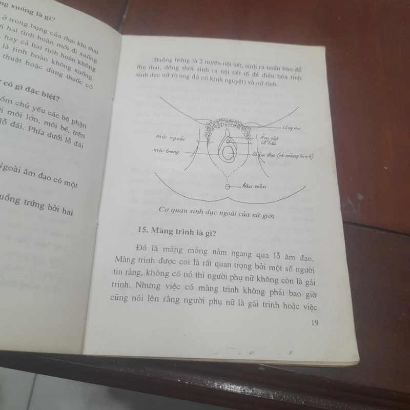 Hỏi đáp về GIỚI TÍNH & TÌNH DỤC 519365