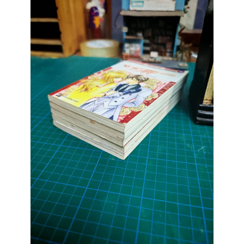 Truyện Tranh Kỵ Sĩ Mỹ Nam - Mai Nishikata 734003