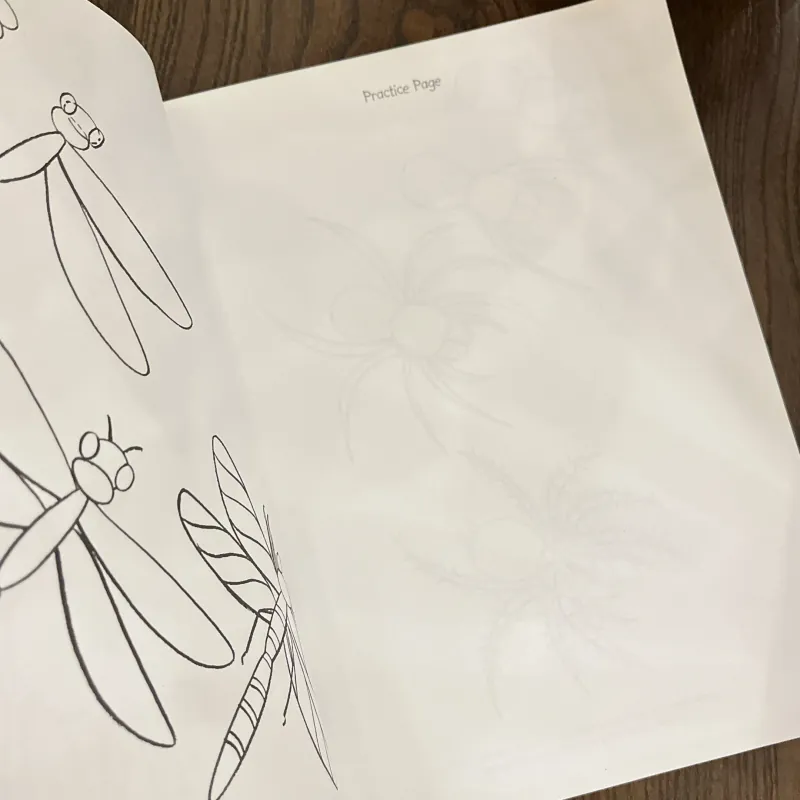 ✨𝑯𝒐𝒘 𝒕𝒐 𝑫𝒓𝒂𝒘 𝑰𝒏𝒔𝒆𝒄𝒕𝒔: 𝑺𝒕𝒆𝒑-𝒃𝒚-𝑺𝒕𝒆𝒑 𝑫𝒓𝒂𝒘𝒊𝒏𝒈𝒔!✨ 712564