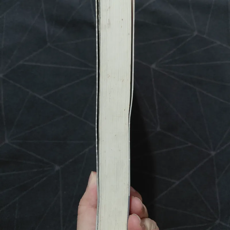 "Ngang qua thế giới của em"  - Trương Gia Giai 550963