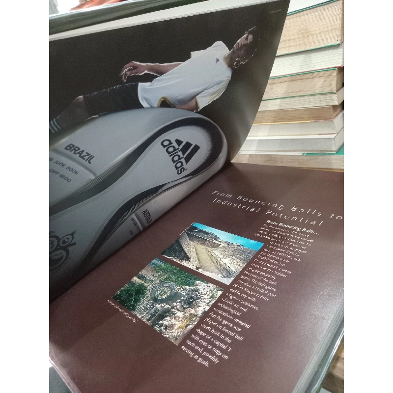 Portrait of the Global Rubber Industry - IRRDB 934181