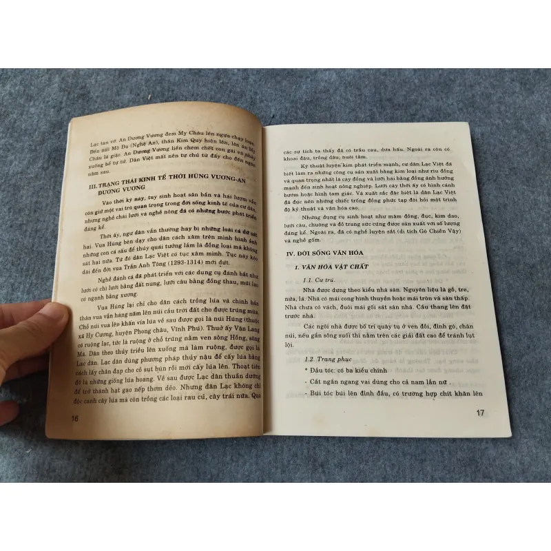 LỊCH SỬ VIỆT NAM 701057