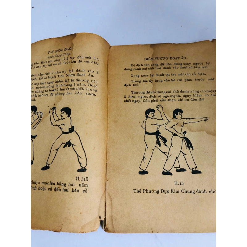 BẮC PHÁI HỒNG GIA QUYỀN  531166