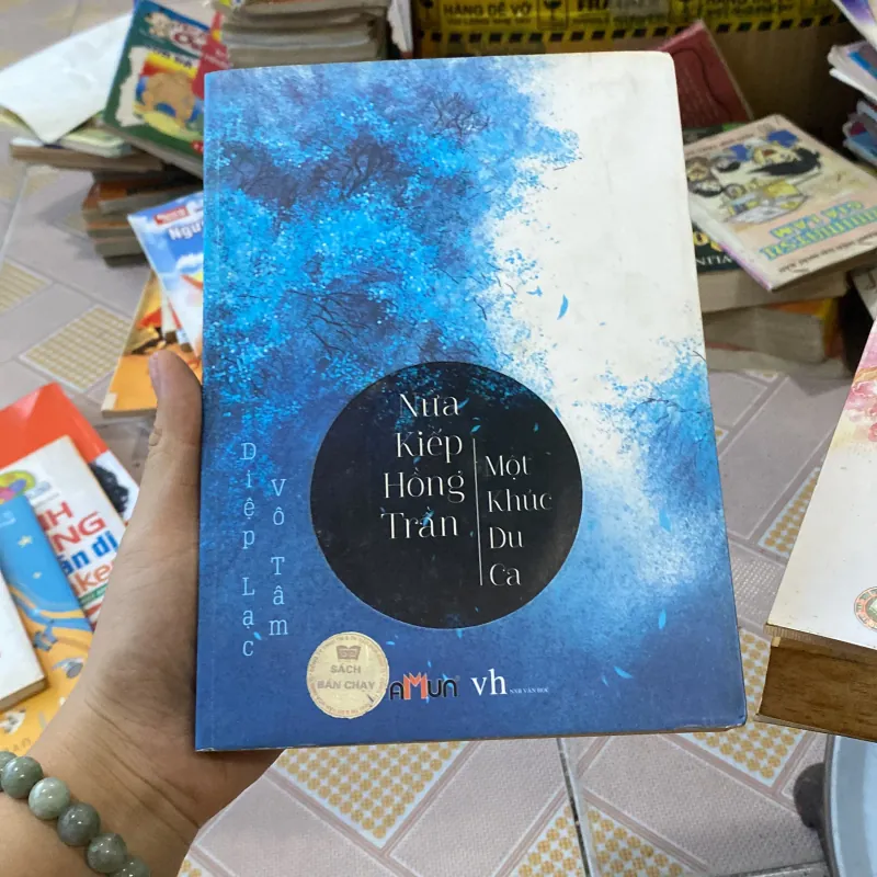 Nửa Kiếp Hồng Trần, Một Khúc Du Ca 1043549