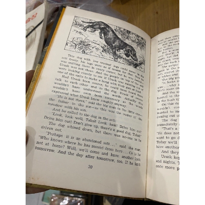 Stories About Animals - Richard Roht 528045