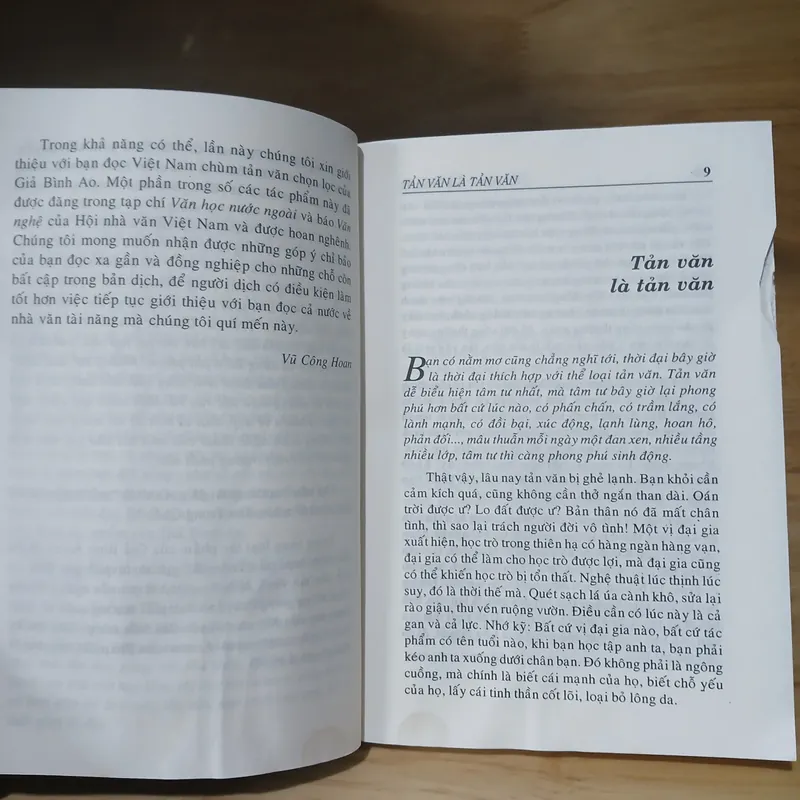 Tản Văn - Giả Bình Ao 599843