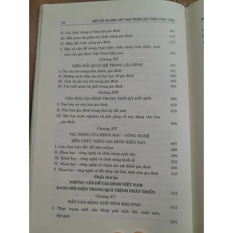 BIỂN ĐỔI GIA ĐÌNH VIỆT NAM... 762399