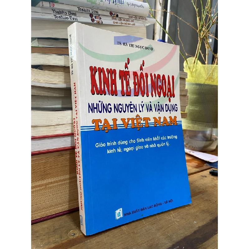 Kinh tế đối ngoại: Những nguyên lý và vận dụng tại Việt Nam - TS. Hà Thị Ngọc Oanh 301819