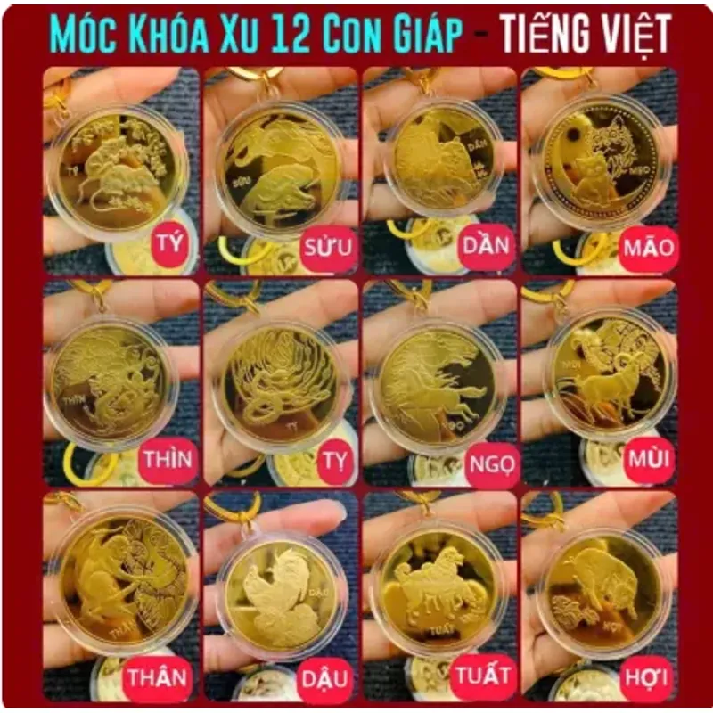 Móc Khóa Đồng Xu Con Hợi Mạ Vàng Treo Oto, Xe Máy Phong Thủy 1013699